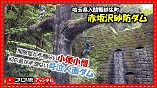 【赤坂沢砂防ダム】埼玉県入間郡越生町　開放感が半端ない小便小僧と涙の量が半端ない号泣人面ダム