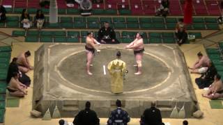 芝-千代の海/2017.5.28(9)/shiba-chiyonoumi/day15 #sumo