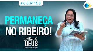 Ao cheiro das águas, Deus faz brotar! | Altar de Deus #cortes #redebrasiloficial