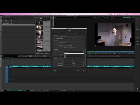 What is expert render Avid?