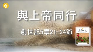 1月14日 與上帝同行