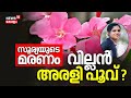 Alappuzha Surya Death | സൂര്യയുടെ മരണം, വില്ലൻ അരളി പൂവ് ? | Oleander Poison Death | Malayalam News
