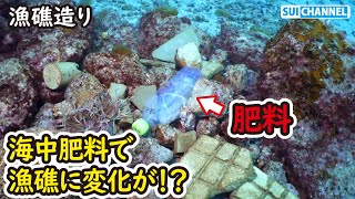 海中肥料を漁礁に置いた結果、その効果は…！