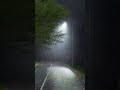 雨夜盼归家。羊脂粉专业youtube优质真人粉丝 刷粉 买粉 涨粉 直播 订阅平台。自助下单：valuablesfans.com