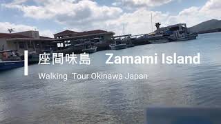 Walking tour  Zamami Island Okinawa Japan　【沖縄県　慶良間諸島　座間味島】座間味港から古座間味ビーチまで歩く