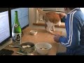 湯豆腐の作り方を語る酔っ払いの動画「猫のオイオイと一緒に晩酌」