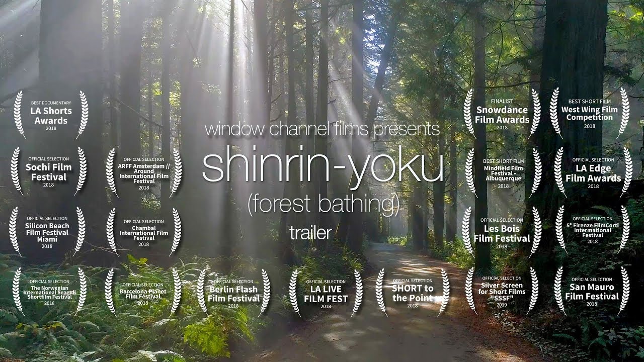 Shinrin-Yoku (forest Bathing) Trailer - YouTube