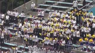 ２０１３年選手権神奈川大会～市立橘～