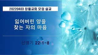 20220403 창뜰교회 설교 (신22:1-8 잃어버린 양을 찾는 자의 마음)