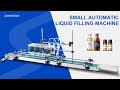 ZONESUN Small Production Line Liquid Filling Machine Peristaltic Pump Conveyor ZS-DTPP100C4