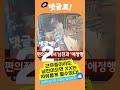 편의점 알바중 남친과 xx 해도 괜찮나 shorts 편의점알바 편의점도시락