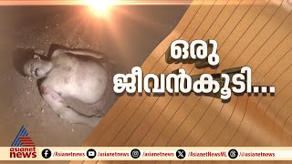 'രാത്രി വലിയ ശബ്ദത്തിൽ ചിന്നംവിളി  കേട്ടു, ഓടി വന്നപ്പോൾ ബിജു റോഡിൽ കിടക്കുകയാണ്'