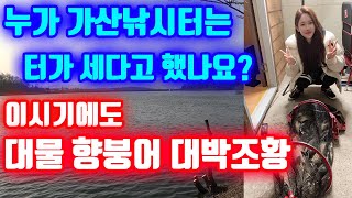 덩어리향붕어 대박조과(가산낚시터 오늘부터 터가 쎄다는 얘기는~끝)