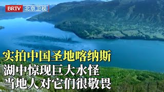 实拍中国新疆圣地喀纳斯，湖中意外惊现巨大水怪，水下还藏着一片神秘森林，当地居民对它们很敬畏【光阴】