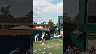 Jiri Lehecka's Backhand Compilation #tennis #atp #lehecka #backhand