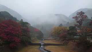 ❤🌫🍁🏞養老公園紅葉２０２２と幻想的な、きり景色🏞🍁🌫❤『きり🌫景色が無人島っぽい景色に、みえます❤雨☔が降っています❤』