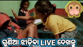 ଗୁଣିଆ ଝାଡ଼ିବା LIVE ଦେଖନ୍ତୁ !! ଏଭଳି ଭିଡ଼ିଓ ଆଗରୁ ଦେଖିନଥିବେ !! ଭୁତ ସାଙ୍ଗେ ସାଙ୍ଗ ଛାଡି ପଳାଉଛି....