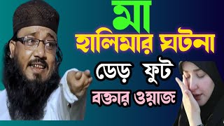 মা হালিমার করুন ঘটনা। দেড় ফুট বক্তার ওয়াজ। এক নম্বর পাঠ। maulana moniruddin Waz।