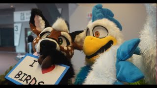 Best of Anthrocon Fursuits | Birds and Dragons, Scales and Feathers, and Things with Wings | AC 2023