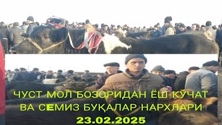 ЧУСТ МОЛ БОЗОРИДАН ЁШ КЎЧАТ ВА СEМИЗ БУҚАЛАР НАРХЛАРИ 23.02.2025