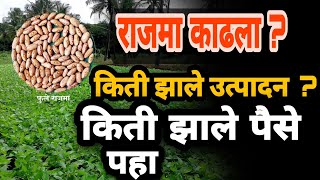 भाग 4 राजमा शेती rajma farmer #rajma #गावकरी आपला शेतकरी मित्र new crop jalna Maharashtra 2022