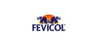 Fevicol SH  Joint Politician