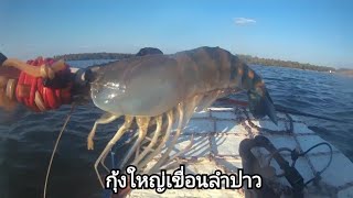 ยิงกุ้งใหญ่เขื่อนลำปาว