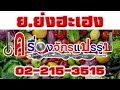 เครื่องสับสายพานขาว ตอน สับฟัก