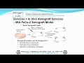 Altogen Labs MIA PaCa-2 Xenograft Service Pancreatic Cancer