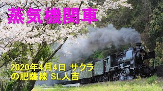 肥薩線 SL人吉 2020年4月4日 サクラの肥薩線 SL人吉