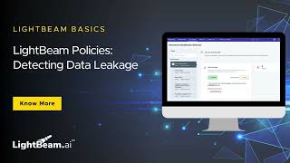LightBeam Policies: Detecting Data Leakage
