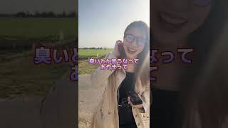 牛と仲良くなりたい姉妹【姉がアホすぎて辛い】