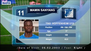 Mamin Sanyang / TSG Hoffenheim U19 / Skills \u0026 Goals / 2020 /