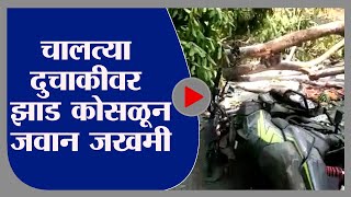 Gadchiroli | चालत्या दुचाकीवर झाड कोसळून SRPF जवान जखमी - tv9