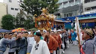 烏山神社例大祭　区民センター　中町神輿　2023/9/23