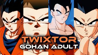 Gohan Adult (DBS and DBZ) Twixtor [ 4K Clips ]