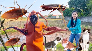 Changcady feeds the kittens and meets a giant cockroach in the garden - Part 325