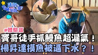 竇哥自稱「鰻苗高手」徒手抓魚超漏氣！楊昇達摸魚遭抓包被逼下水？！【請問 今晚住誰家】體驗篇 20230711 EP780 Part1 竇智孔 黃鐙輝