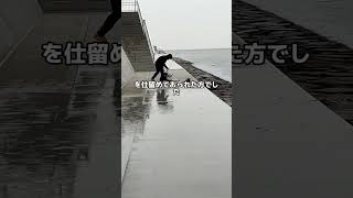 2/5南芦屋浜には8つの橋の下ポイントあり　雨に日も快適です(動画フィッシングマックス芦屋店)