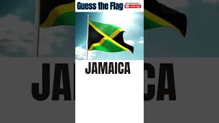 Guess the Flag | World Flag Quiz #toptenquiz #flagsofcountries