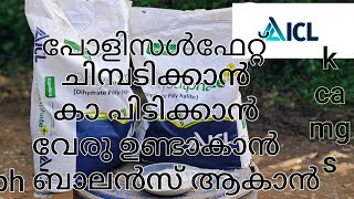 ICL polysulphate#പൊളിസൾഫേറ്റ്  ചിമ്പാടിക്കാൻ  സൂപ്പർ കോമ്പോ 👌👌👌👌