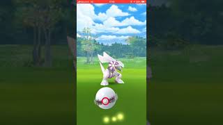 【ポケモンGO】パルキアゲットチャレンジ