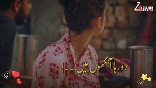 New best Pakistani WhatsApp Status _ Pak darma song status 2021 _ Urdu lyrics