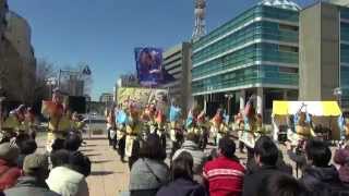 桜家一門YOSAKORI隊　2013　浜松がんこ祭2014　東街区ロータリー会場　00028