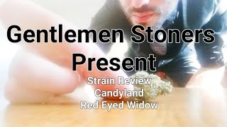 Strain Review: Candyland