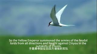 中国历史： 五帝本纪之黄帝：The Yellow Emperor, the Ancestor of the Chinese Nation（English version）