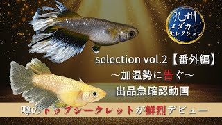 【メダカ】九州メダカセレクションvol.2番外編