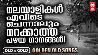 മലയാളികൾ ഏത് ദേശത്തായാലും എപ്പോഴും കേൾക്കാൻ കൊതിക്കുന്ന പഴയ ഗാനങ്ങൾ | OLD IS GOLD