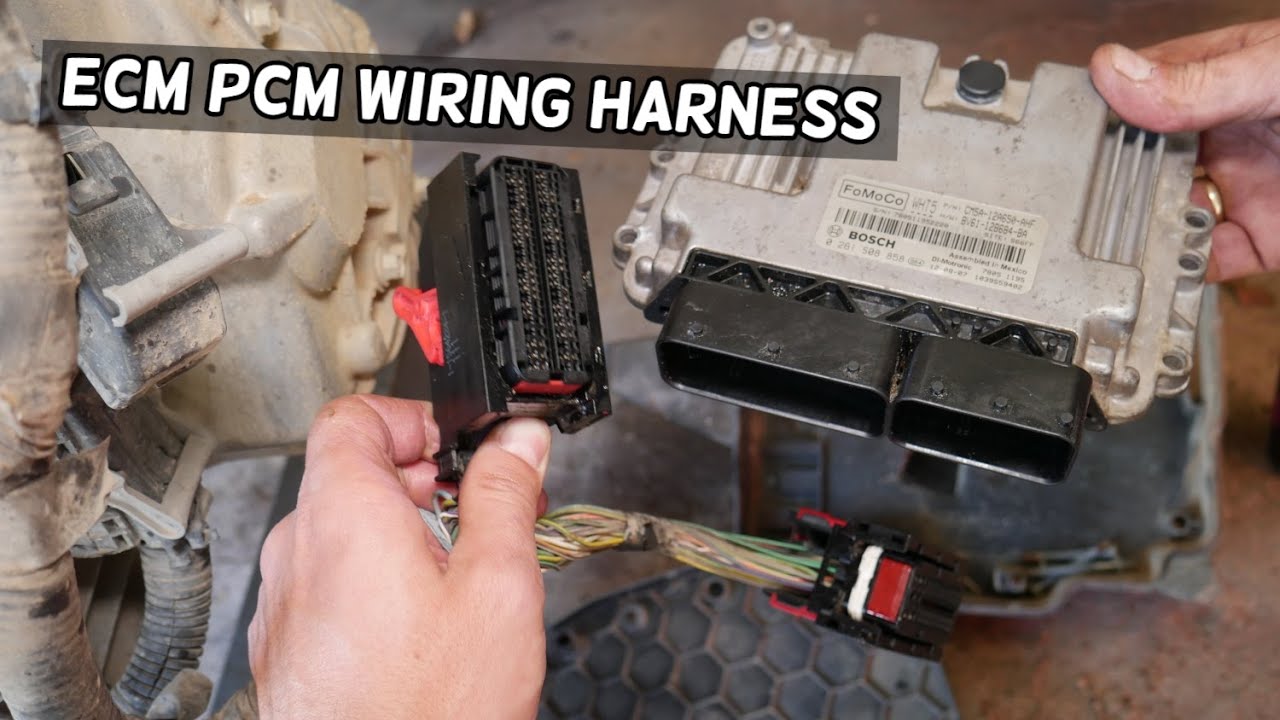 Ecm Wiring Harness - RhonddaRuslan