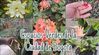 Tour por las Áreas Verdes de la Ciudad de Bogota.🌱